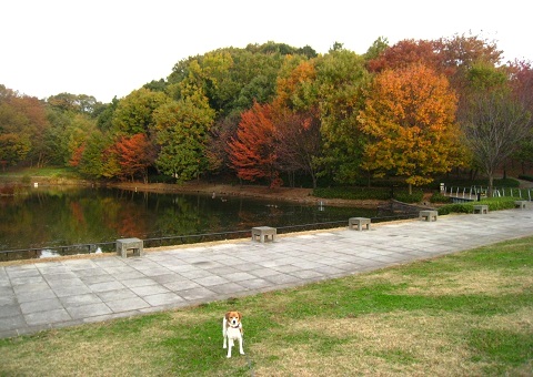 c0084117_1874948.jpg