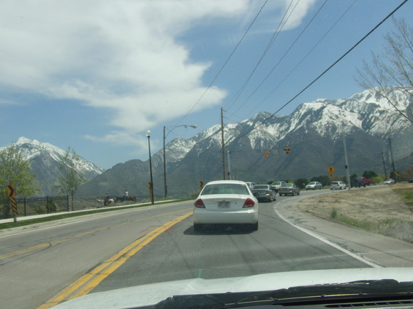 e0055320_3495516.jpg