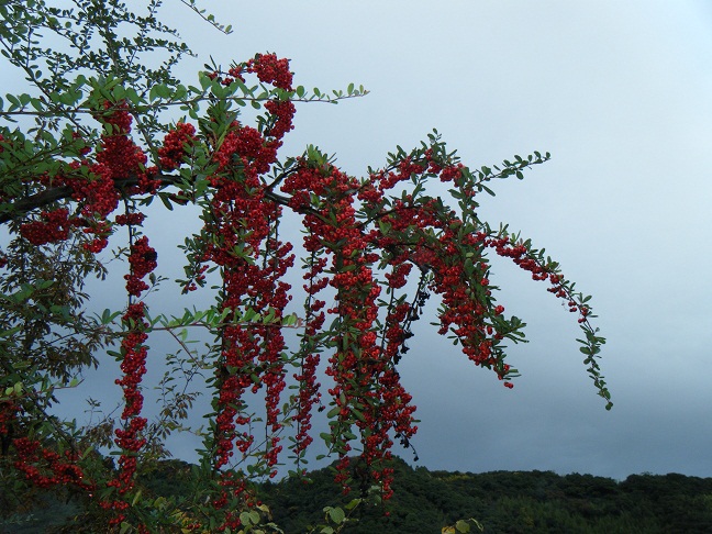 e0138321_0273994.jpg