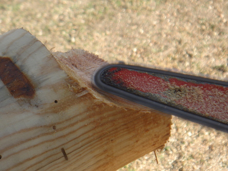 e0001531_00638.jpg