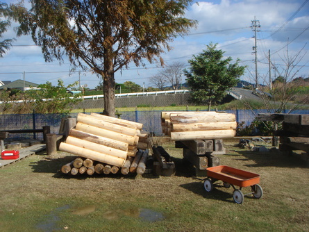 e0001531_2351830.jpg