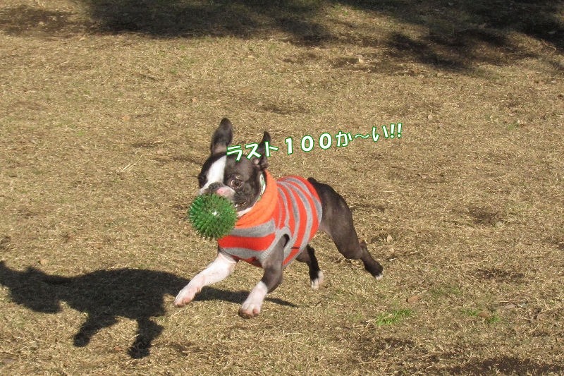 c0209932_20442979.jpg