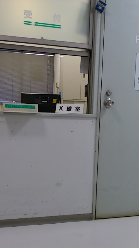 e0069433_11133656.jpg