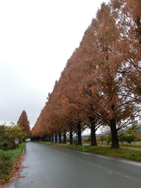 2011.12.3～4　全西日本雨男蟹会議_a0143839_2348526.jpg