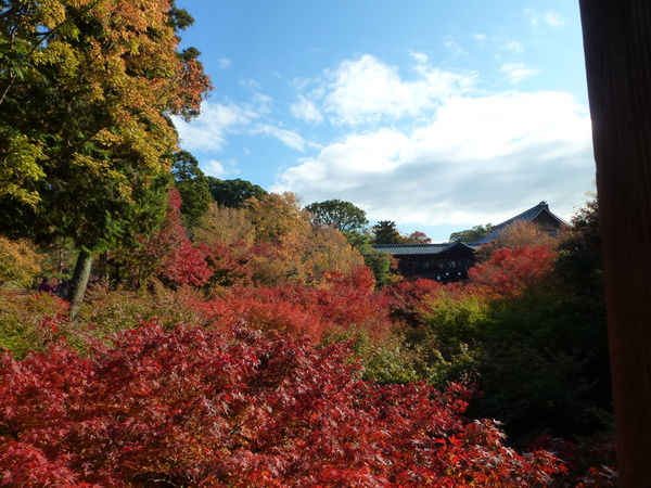 通天橋＠東福寺_d0044239_1127815.jpg