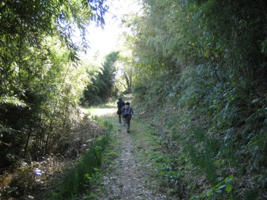 e0110940_8463786.jpg