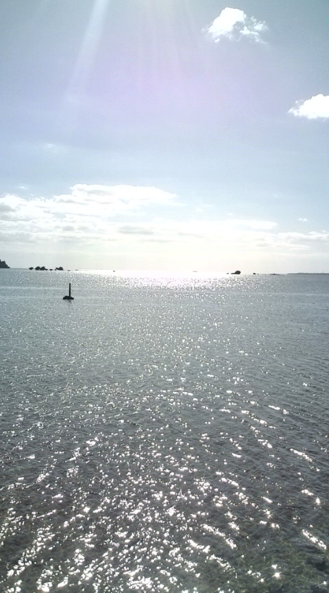 b0124144_1263418.jpg