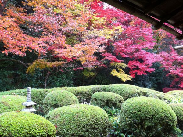 京都で紅葉狩り_f0119244_12323532.jpg