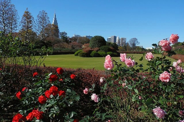 秋の新宿御苑　　「フランス式整形庭園」_b0122448_20584799.jpg