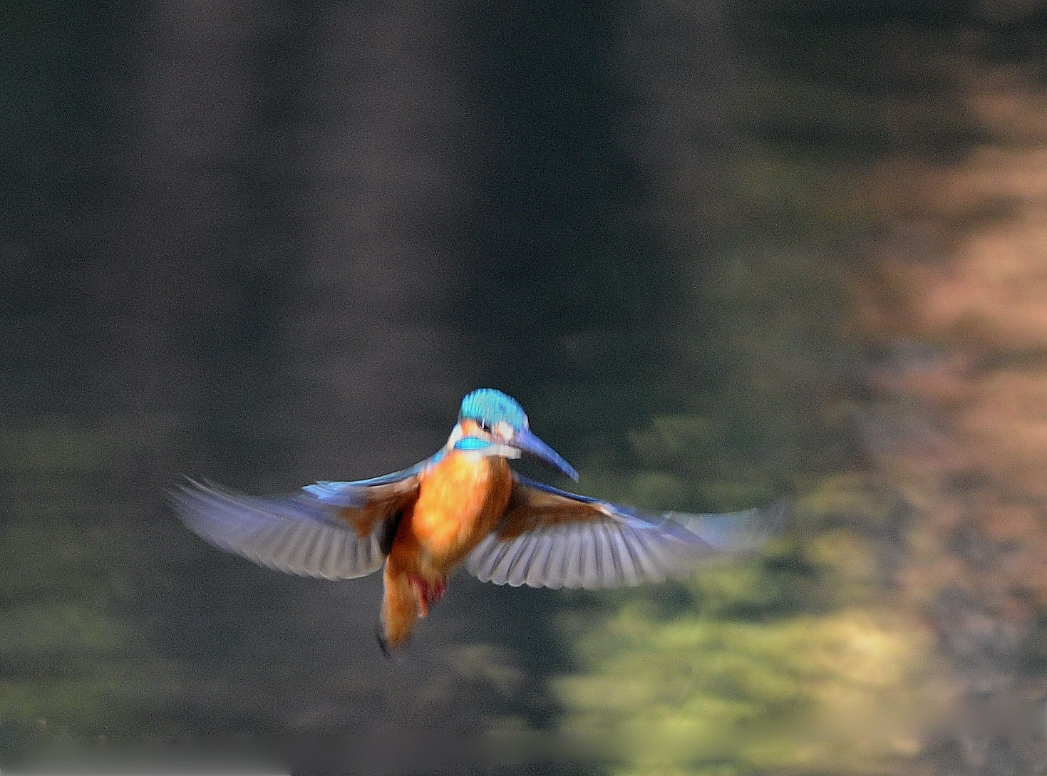 いつもの公園で_c0205858_17923.jpg