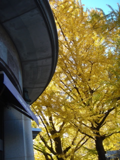 c0046662_1593643.jpg