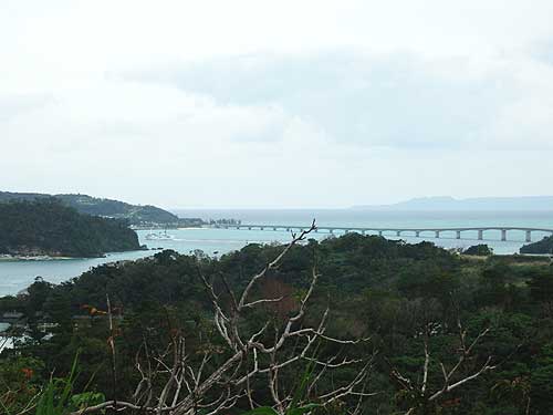 b0101263_16191034.jpg