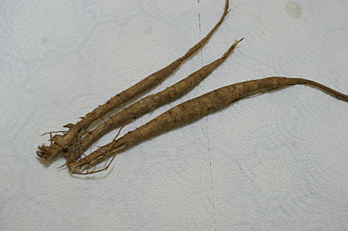 c0194163_21225536.jpg