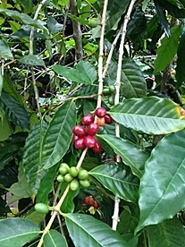 c0022164_7585672.jpg