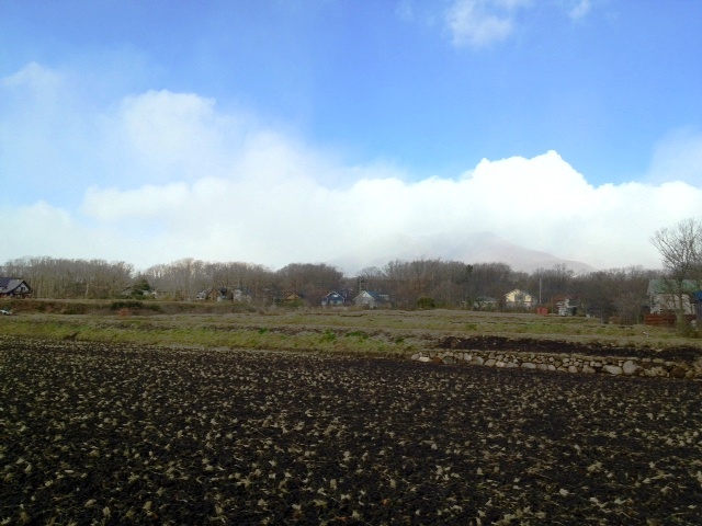 e0151566_2103325.jpg