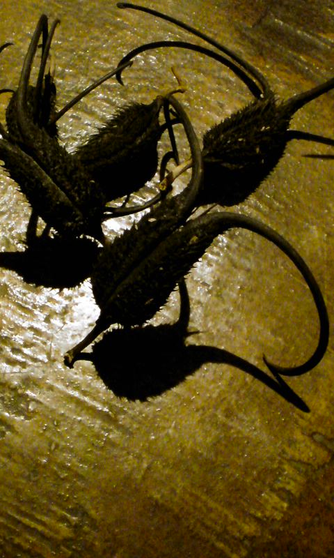 f0220768_1849763.jpg