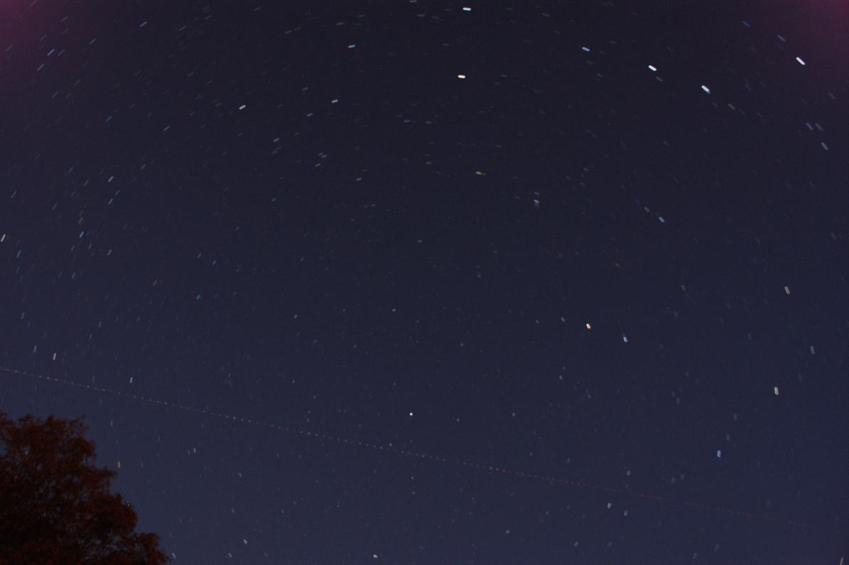 a0053771_793573.jpg