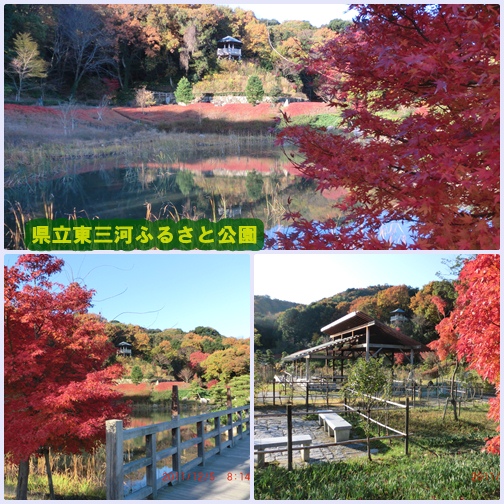 みんなで楽しむパソコン ②ふるさと公園のS16年男の話_d0007071_1814462.jpg