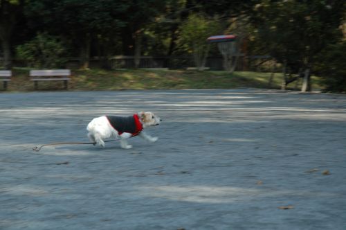 f0045872_23361651.jpg