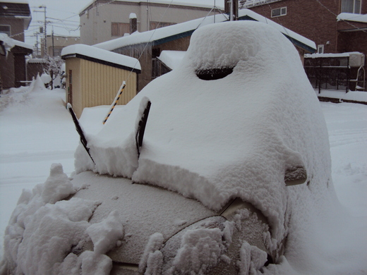 大雪降った_a0147373_8252872.jpg