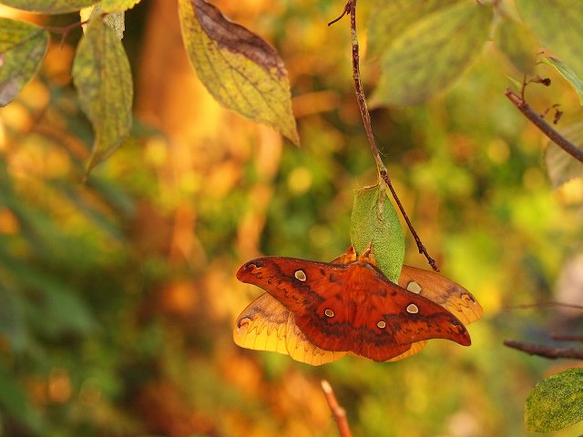 b0135573_21233838.jpg
