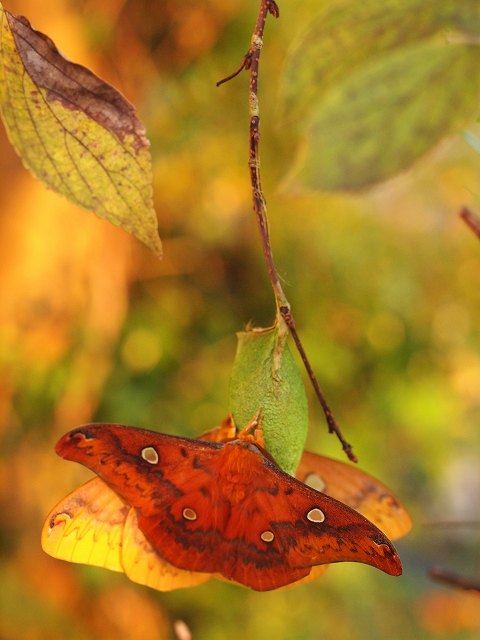 b0135573_21235129.jpg