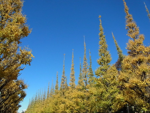 c0187076_1054254.jpg