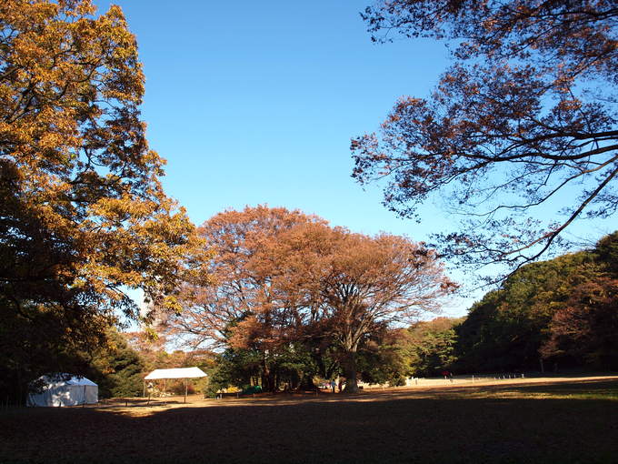 e0232277_10292184.jpg