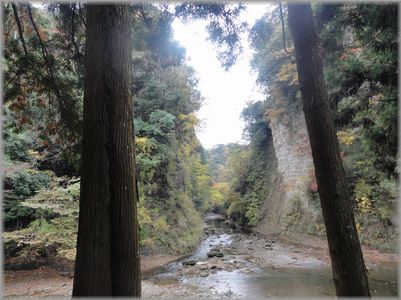 d0082980_2018254.jpg