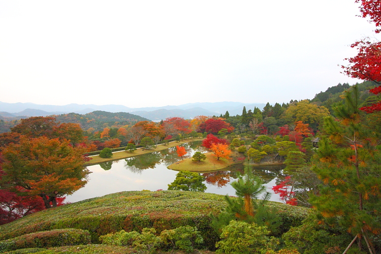 修学院離宮_e0051888_133336.jpg