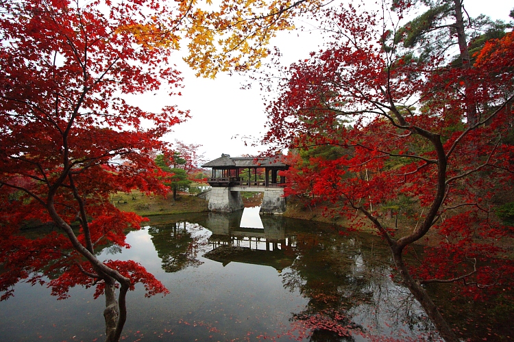 修学院離宮_e0051888_141121.jpg