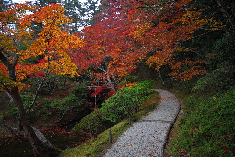 修学院離宮_e0051888_142817.jpg