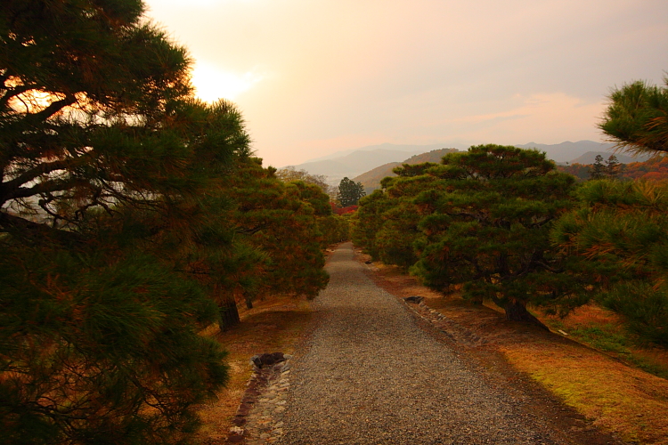 修学院離宮_e0051888_163872.jpg