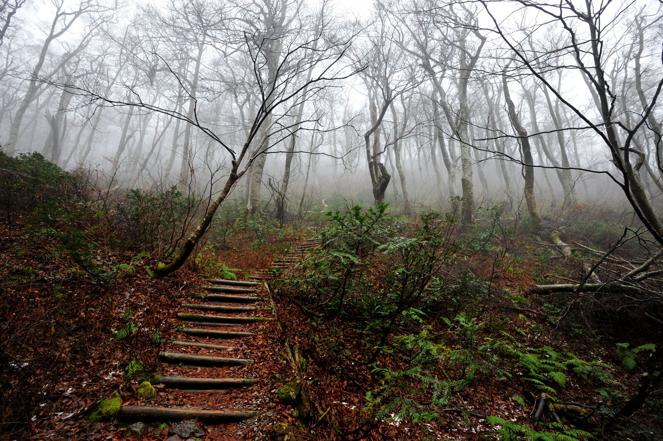 大山(弥山1709m)冬山2回目③_c0138991_213426.jpg