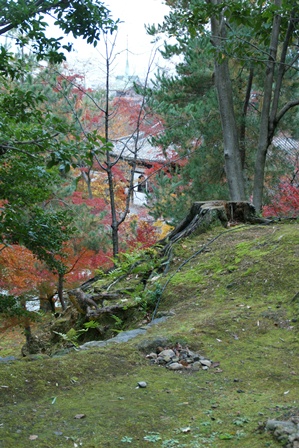 高台寺、北政所ねね様開創のお寺は静寂の中に気品がありました_d0181492_22132519.jpg