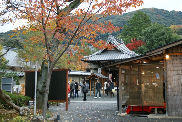 高台寺、北政所ねね様開創のお寺は静寂の中に気品がありました_d0181492_22173042.jpg