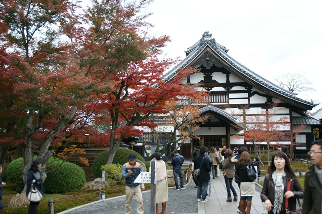 高台寺、北政所ねね様開創のお寺は静寂の中に気品がありました_d0181492_22175930.jpg