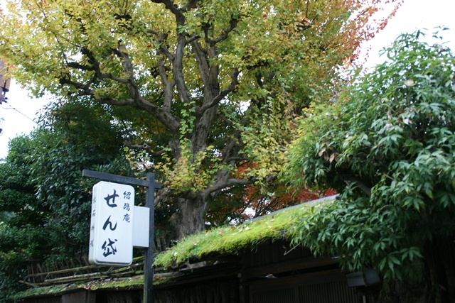 高台寺、北政所ねね様開創のお寺は静寂の中に気品がありました_d0181492_22201775.jpg