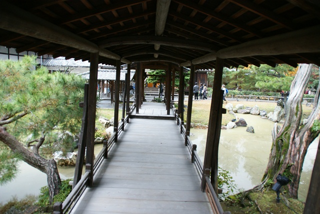 高台寺、北政所ねね様開創のお寺は静寂の中に気品がありました_d0181492_223346.jpg