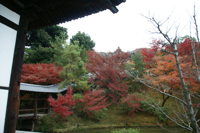 高台寺、北政所ねね様開創のお寺は静寂の中に気品がありました_d0181492_22506.jpg