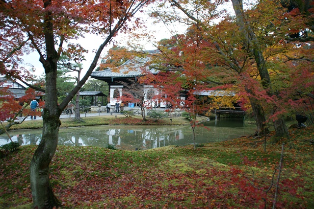 高台寺、北政所ねね様開創のお寺は静寂の中に気品がありました_d0181492_2253586.jpg