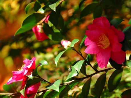 a0223993_038087.jpg