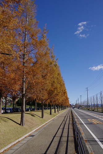 b0119493_7174848.jpg