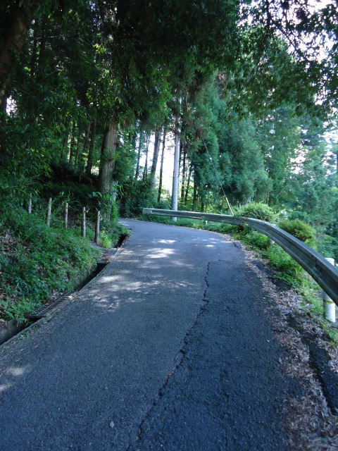 b0062495_17164656.jpg