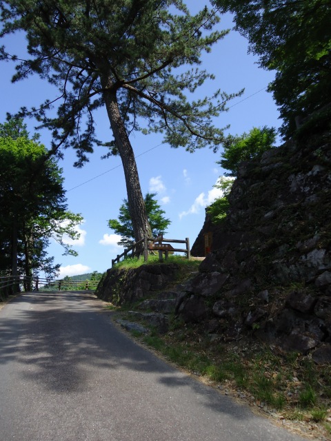 b0062495_17211961.jpg