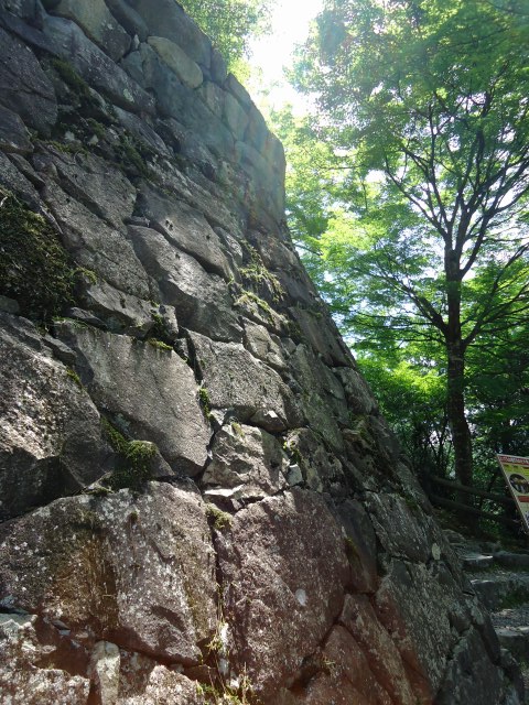 b0062495_17244521.jpg