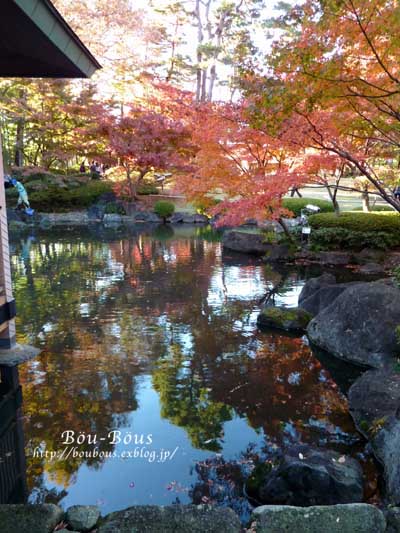 大田黒公園の紅葉_d0128697_058271.jpg