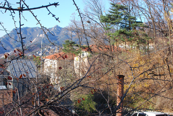 e0166398_01622.jpg