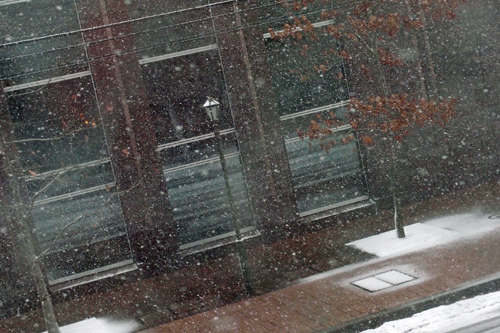 f0003598_19553923.jpg