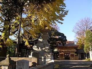 2011年12月5日（月） ； 晴れ_d0051601_2325585.jpg